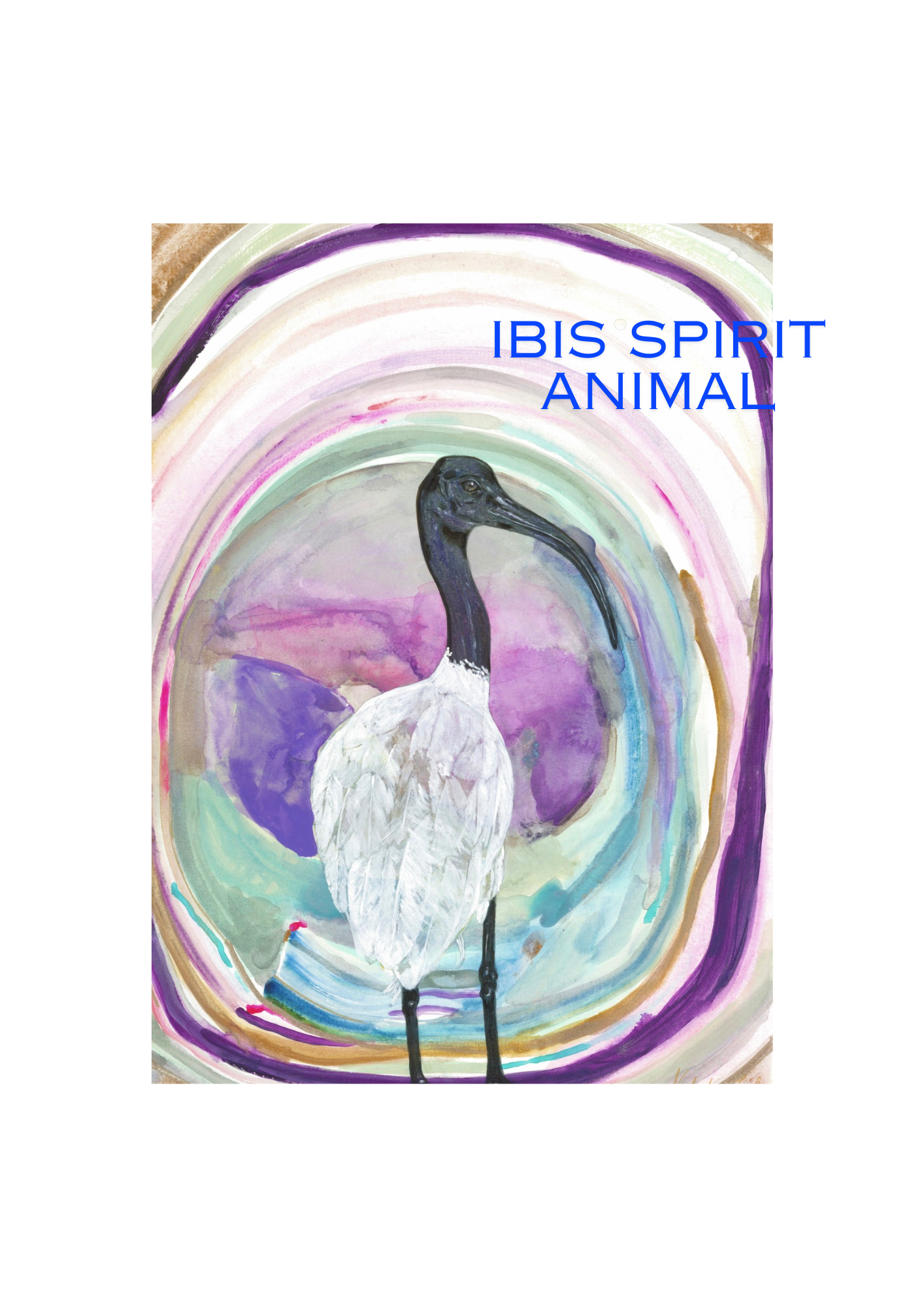 Ibis spirit animal
